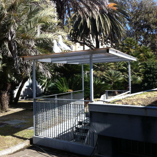 Sanremo: ancora gabbiani nel giardino del tribunale, presto un nuovo nido?