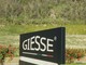 La Giesse Logistica Spa di Castellinaldo d'Alba si schiera a fianco degli agricoltori La Giesse Logistica Spa di Castellinaldo d'Alba si schiera a fianco degli agricoltori