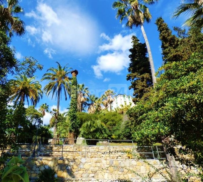 Bordighera, "Summer in Winter" si prepara alla settima edizione