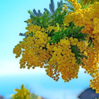 Speciale Weekend dell'8 e 9 marzo con la ‘Giornata Internazionale della Donna’ tra teatro, musica, conferenze e molto altro Speciale Weekend dell'8 e 9 marzo con la ‘Giornata Internazionale della Donna’ tra teatro, musica, conferenze e molto altro