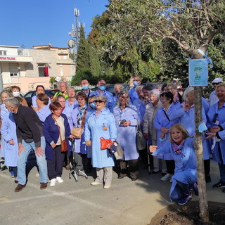 Bordighera: piantato un albero di ulivo davanti al Saint Charles per celebrare la rinascita dell'associazione AVO
