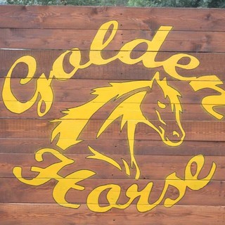 Taggia: questo weekend al centro ippico il "Trofeo Golden Horse". Tanti eventi collaterali per grandi e piccini e l'immancabile "Country Line Dance"