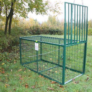 Ventimiglia, gabbie e abbattimento cinghiali. Lev: "Soluzioni inutili, il problema è dettato dalla continua uccisione da parte dell'uomo"