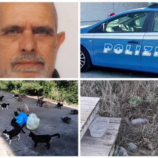 Imperia, gatta seviziata alla colonia felina di lungomare Vespucci. Falchi (Accademia Kronos): “Profonda commozione e costernazione”