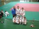 Il Judo Club Sakura Arma di Taggia a.s.d. chiude il primo semestre di attività agonistica
