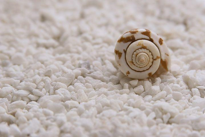 GreenLife: vanno in scena i profumi per il nostro benessere GreenLife: vanno in scena i profumi per il nostro benessere