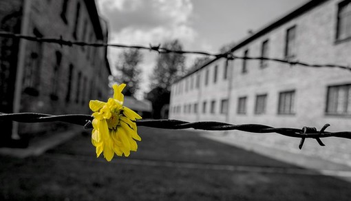 Bordighera: ecco il programma delle celebrazioni per la ricorrenza del Giorno della Memoria Bordighera: ecco il programma delle celebrazioni per la ricorrenza del Giorno della Memoria