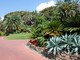 Sanremo: mercoledì prossimo a Villa Ormond e alla Fos una giornata per la protezione dei ricci Sanremo: mercoledì prossimo a Villa Ormond e alla Fos una giornata per la protezione dei ricci