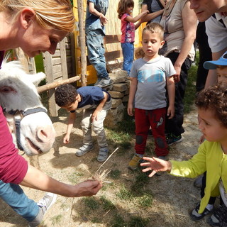 Gita dei piccoli del Nido d'infanzia 'La Nuvola' di Sanremo alla fattoria didattica 'Monaci Templari' di Seborga (foto)