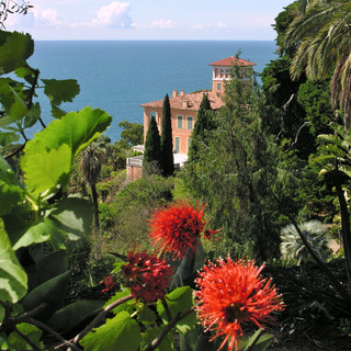 Giardini Botanici Hanbury ed il Castello dei Doria: una bella scoperta in Riviera dei Fiori e occasione di visita per le festività pasquali