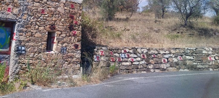 Gli ucraini della provincia di Imperia firmano contro le centinaia di 'Z' sulla strada per Vasia: "Chiediamo la rimozione della propaganda bellica russa" (foto)