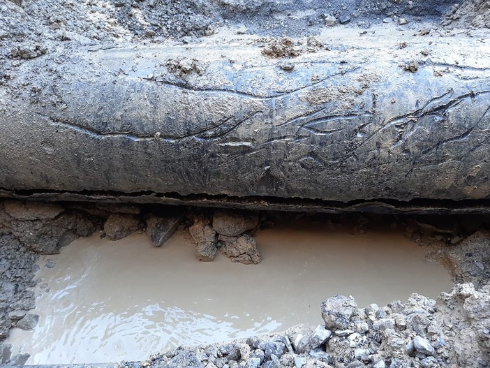 Immagine di repertorio