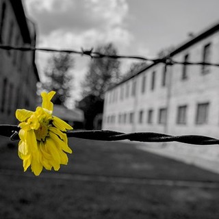 Bordighera: ecco il programma delle celebrazioni per la ricorrenza del Giorno della Memoria