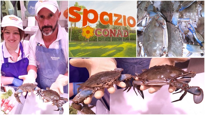 Il granchio blu conquista il Ponente: al supermercato è sold-out in un paio d'ore