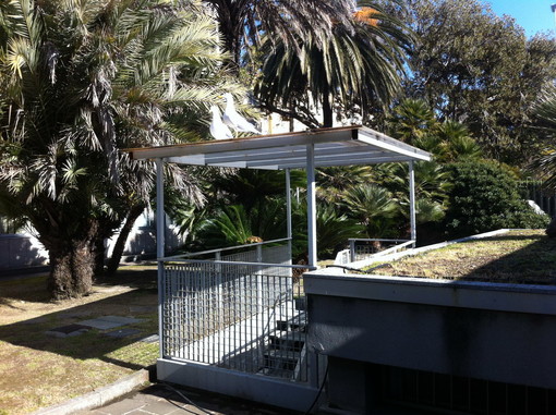 Sanremo: ancora gabbiani nel giardino del tribunale, presto un nuovo nido? Sanremo: ancora gabbiani nel giardino del tribunale, presto un nuovo nido?