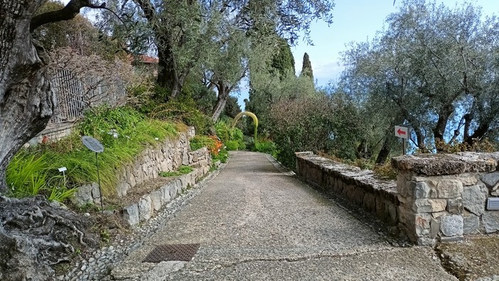 Ventimiglia: il 28 settembre ai Giardini Hanbury il percorso multisensoriale dal titolo 'Il giardino incantato' Ventimiglia: il 28 settembre ai Giardini Hanbury il percorso multisensoriale dal titolo 'Il giardino incantato'