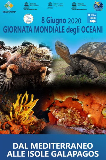 ‘Dal Mediterraneo alle isole Galapagos’, conferenza in webinar in occasione della 'Giornata Mondiale degli Oceani'