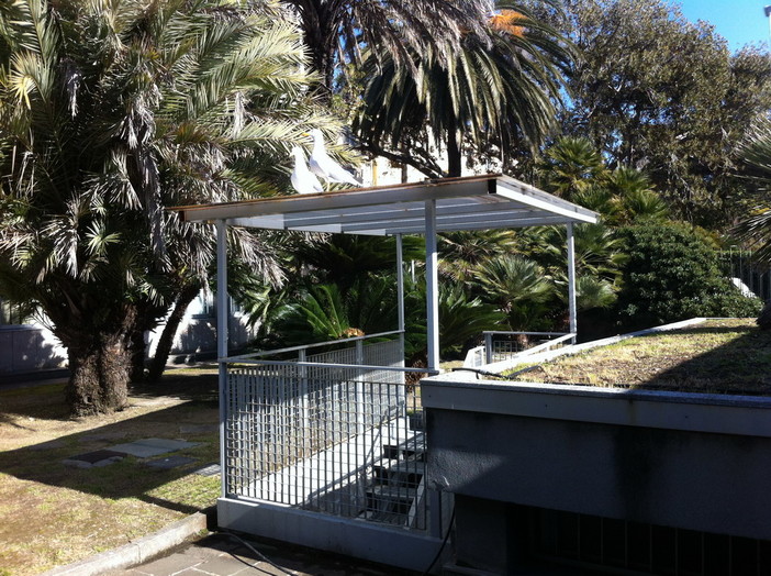 Sanremo: ancora gabbiani nel giardino del tribunale, presto un nuovo nido?