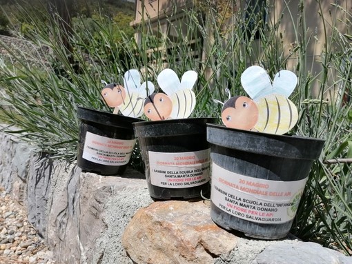 Ventimiglia, la scuola dell'infanzia 'Santa Marta' celebra la "Giornata mondiale delle api" (foto) Ventimiglia, la scuola dell'infanzia 'Santa Marta' celebra la "Giornata mondiale delle api" (foto)