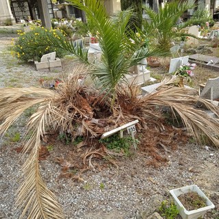 Bordighera: il consigliere Ramoino sul cimitero, "Sono preoccupato, serve manutenzione"