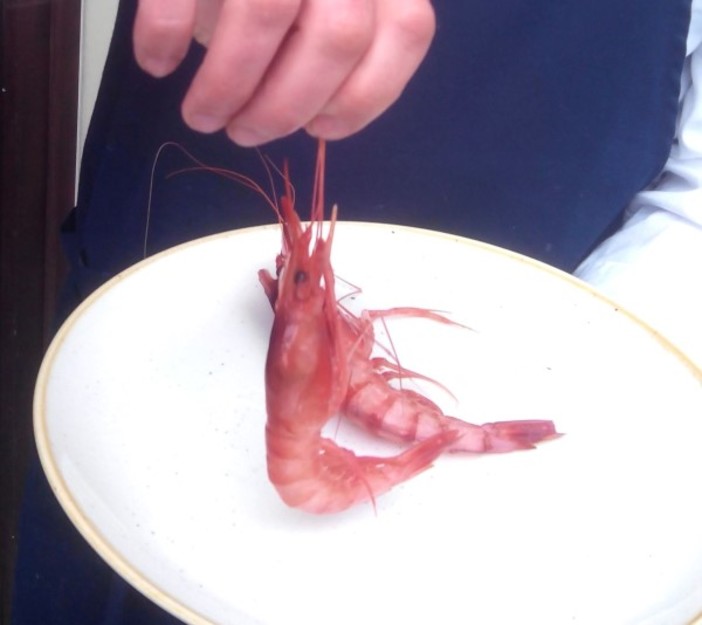 Ittiturismi liguri: Coldiretti “Una risorsa economica e sociale che deve essere valorizzata” Ittiturismi liguri: Coldiretti “Una risorsa economica e sociale che deve essere valorizzata”