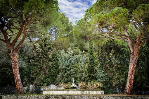 Ventimiglia: a fine maggio ai Giardini Hanbury una passeggiata nel 'Progetto di laboratorio fotografico'