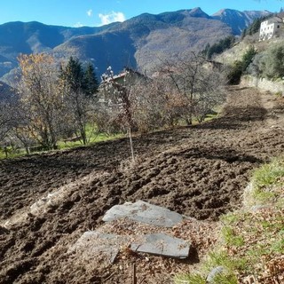 Triora, prosegue il progetto del "Granaio di Genova”