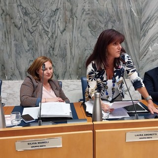 Consiglio comunale a Imperia, Gruppo misto: "Bene il centro del riuso ma si premino i cittadini e si cambi location" Consiglio comunale a Imperia, Gruppo misto: "Bene il centro del riuso ma si premino i cittadini e si cambi location"