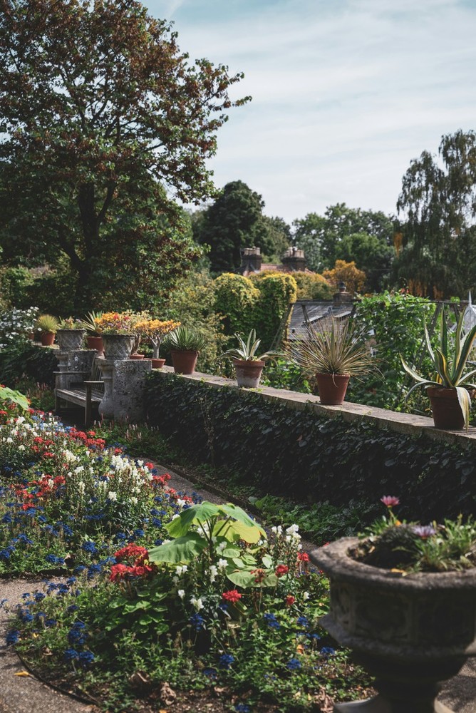 Manutenzione giardino