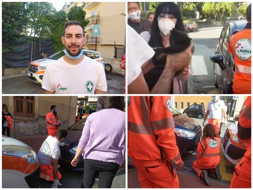 Imperia: gattino incastrato nel vano motore di un'auto, a salvarlo un milite della Croce Bianca (foto e video) Imperia: gattino incastrato nel vano motore di un'auto, a salvarlo un milite della Croce Bianca (foto e video)
