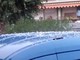 Una violenta grandinata colpisce il ponente: disagi anche a Imperia, pioggia anche nelle prossime ore (Foto e Video) Una violenta grandinata colpisce il ponente: disagi anche a Imperia, pioggia anche nelle prossime ore (Foto e Video)