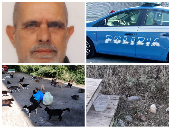 Imperia, gatta seviziata alla colonia felina di lungomare Vespucci. Falchi (Accademia Kronos): “Profonda commozione e costernazione” Imperia, gatta seviziata alla colonia felina di lungomare Vespucci. Falchi (Accademia Kronos): “Profonda commozione e costernazione”