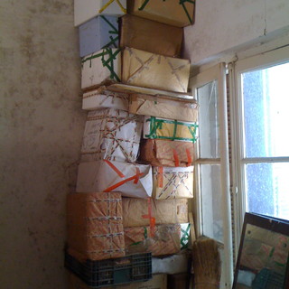 Bordighera: ex affittuaria collezionava i gatti morti dentro scatole di polistirolo, intervista al proprietario Bordighera: ex affittuaria collezionava i gatti morti dentro scatole di polistirolo, intervista al proprietario