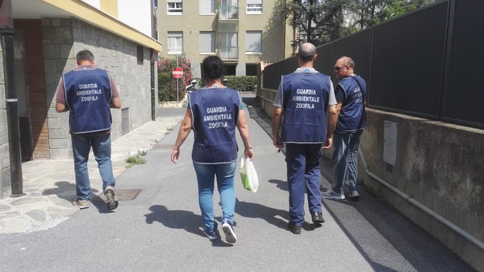 Imperia: oggi in prefettura il giuramento di otto guardie ambientali zoofile Imperia: oggi in prefettura il giuramento di otto guardie ambientali zoofile