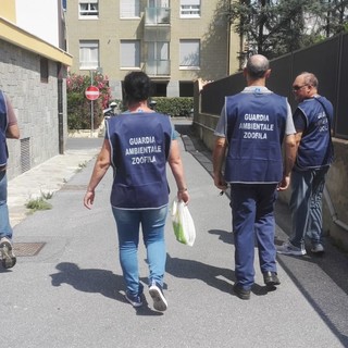 Imperia: oggi in prefettura il giuramento di otto guardie ambientali zoofile Imperia: oggi in prefettura il giuramento di otto guardie ambientali zoofile