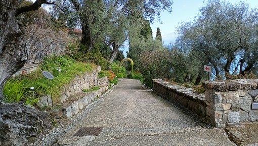 Ventimiglia: il 28 settembre ai Giardini Hanbury il percorso multisensoriale dal titolo 'Il giardino incantato' Ventimiglia: il 28 settembre ai Giardini Hanbury il percorso multisensoriale dal titolo 'Il giardino incantato'