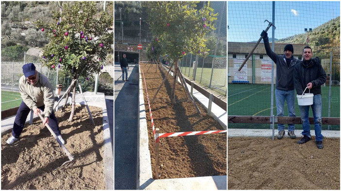 A Badalucco si pianta il grano per far rinascere l'aiuola intorno al campo sportivo