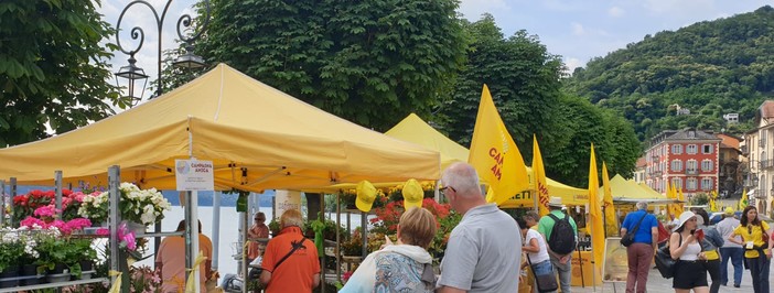 Trasferta in Piemonte per la XXIII Giornata interregionale dei Pensionati Coldiretti a Cannobio (foto)