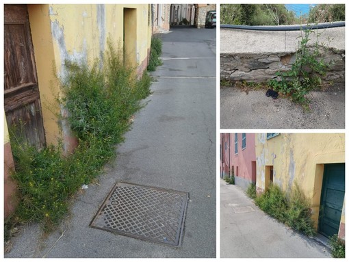 Ventimiglia, Scullino: "Unica strada di accesso a rischio crollo, allarme a Grimaldi Superiore" (Foto)