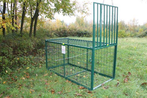 Ventimiglia, gabbie e abbattimento cinghiali. Lev: "Soluzioni inutili, il problema è dettato dalla continua uccisione da parte dell'uomo"