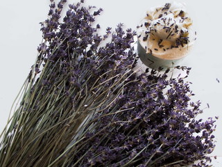 Gusto Grazie dei fiori