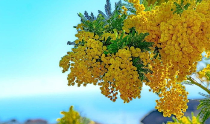 Speciale Weekend dell'8 e 9 marzo con la ‘Giornata Internazionale della Donna’ tra teatro, musica, conferenze e molto altro