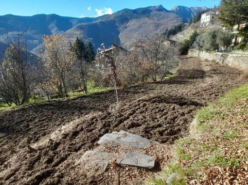 Triora, prosegue il progetto del "Granaio di Genova”