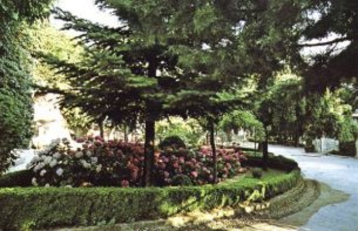 Verde pubblico: 350 mila euro per riqualificazione e mantenimento di giardini, aiuole e aree verdi a Bordighera Verde pubblico: 350 mila euro per riqualificazione e mantenimento di giardini, aiuole e aree verdi a Bordighera