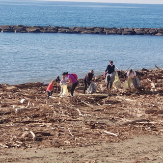 Santo Stefano al Mare, tanti i volontari che hanno partecipato alla seconda giornata ecologica organizzata dall'amministrazione comunale (Foto) Santo Stefano al Mare, tanti i volontari che hanno partecipato alla seconda giornata ecologica organizzata dall'amministrazione comunale (Foto)