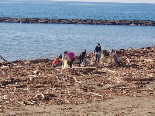 Santo Stefano al Mare, tanti i volontari che hanno partecipato alla seconda giornata ecologica organizzata dall'amministrazione comunale (Foto) Santo Stefano al Mare, tanti i volontari che hanno partecipato alla seconda giornata ecologica organizzata dall'amministrazione comunale (Foto)