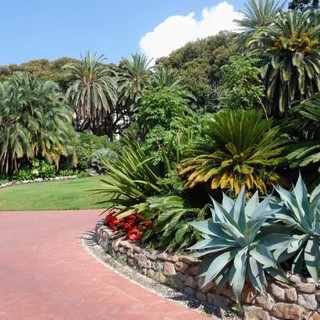 Sanremo: mercoledì prossimo a Villa Ormond e alla Fos una giornata per la protezione dei ricci