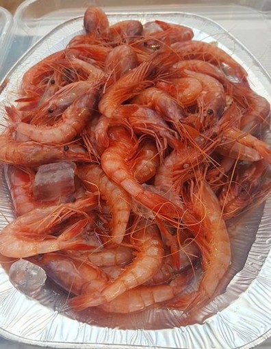 L'Italia vince la cosiddetta 'disputa del gambero rosso': assolto un pescatore imperiese