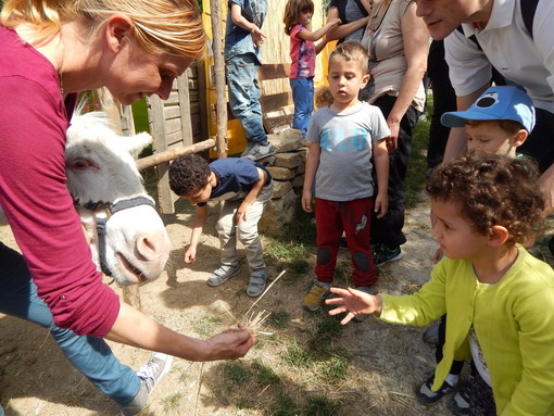 Gita dei piccoli del Nido d'infanzia 'La Nuvola' di Sanremo alla fattoria didattica 'Monaci Templari' di Seborga (foto)