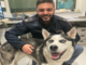 Sanremo: husky smarrito in corso Cavallotti, polizia cerca proprietari Sanremo: husky smarrito in corso Cavallotti, polizia cerca proprietari